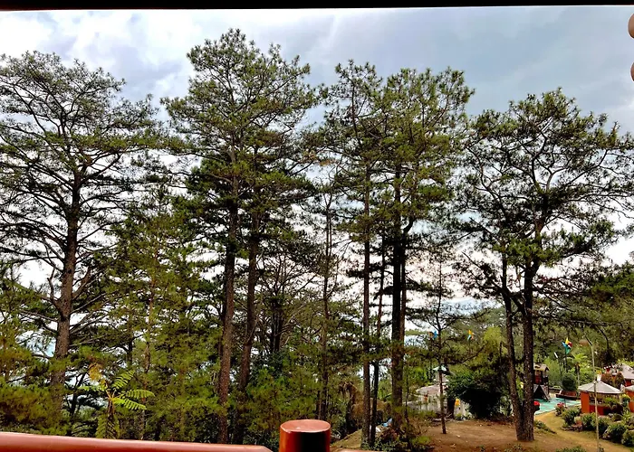 Baguio Forest Lodge At Camp John Hay 004
